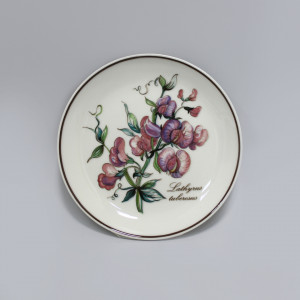 Розетка Villeroy&Boch Botanica Чина клубневая