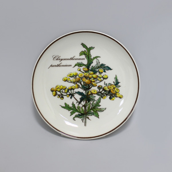 Розетка Villeroy&Boch Botanica Хризантема
