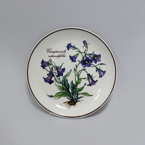 Розетка Villeroy&Boch