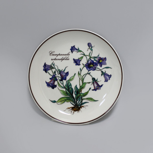 Розетка Villeroy&Boch