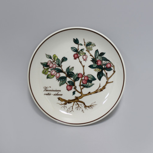 Розетка Villeroy&Boch Botanica Брусника