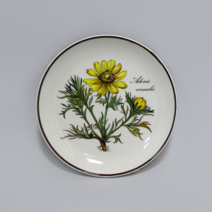 Розетка Villeroy&Boch Botanica Горицвет