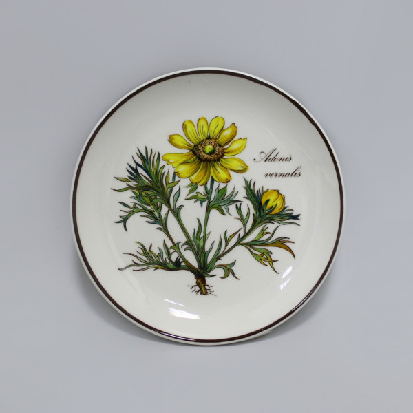 Розетка Villeroy&Boch Botanica Горицвет