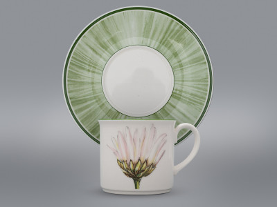 Чайная пара Маргаритка Villeroy&Boch Flora country collection