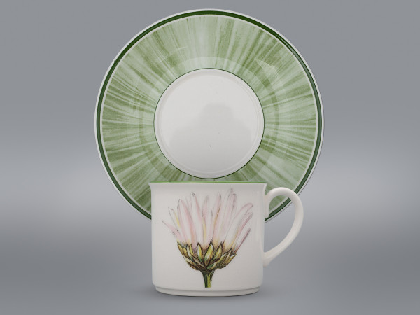 Чайная пара Маргаритка Villeroy&Boch Flora country collection